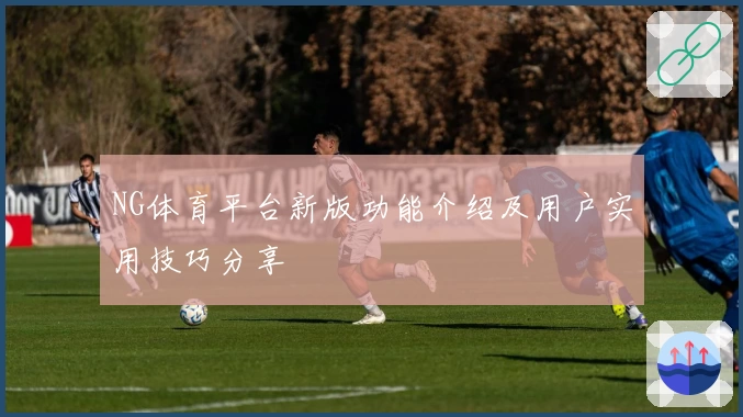 NG体育平台新版功能介绍及用户实用技巧分享