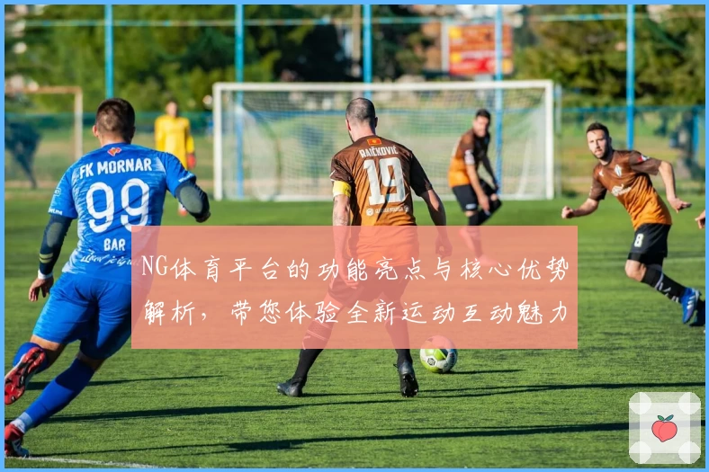 NG体育平台的功能亮点与核心优势解析，带您体验全新运动互动魅力