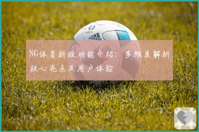 NG体育新版功能介绍：多维度解析核心亮点及用户体验